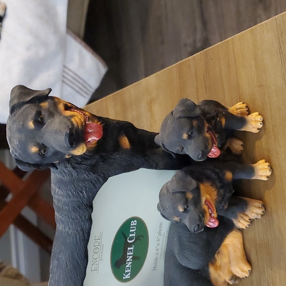 ENCORE ROTTWEILER - Picture 2 of 4